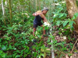 Hadirkan Harapan Baru : Program TNI Manunggal Air Bersih Capai Progres 70 Persen Pada Kegiatan TMMD Ke-129 Kodim 1807/Sorong Selatan
